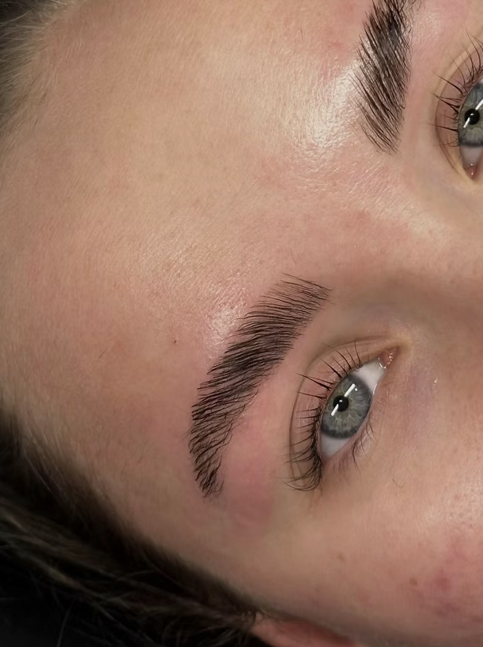 Freshly laminated and shaped brows, close up